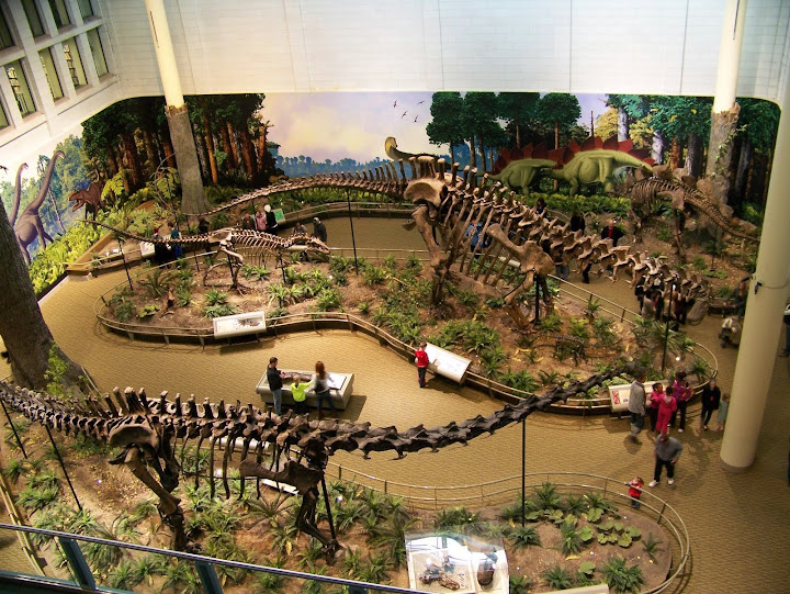 Carnegie Museum of Natural History: Historical Must-See in Pittsburgh